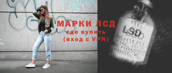 стаф Аркадак