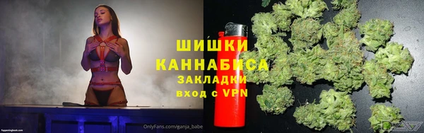 гашик Арсеньев