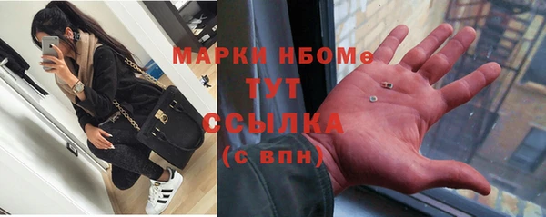 стаф Аркадак