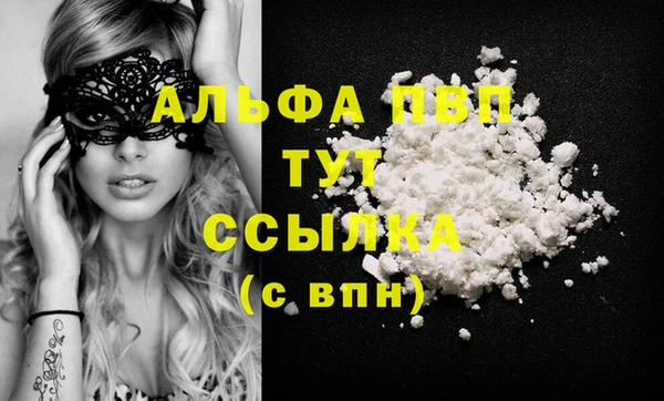 индика Армянск
