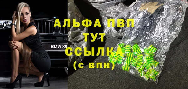 гашик Арсеньев