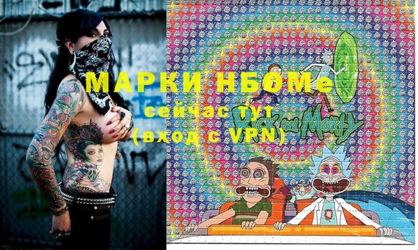 стаф Аркадак