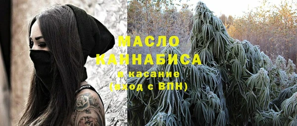 индика Армянск
