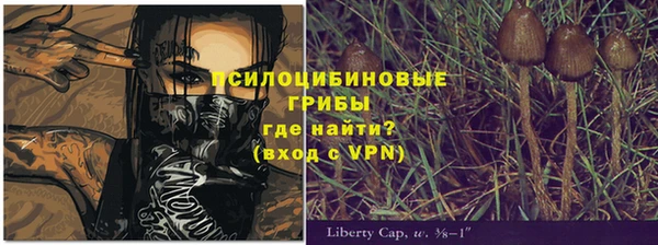 круглые Алзамай