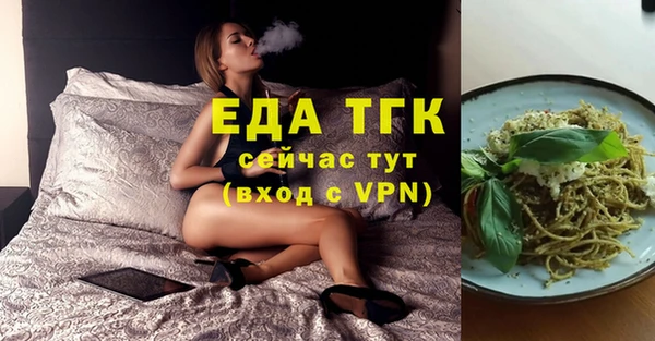 индика Армянск