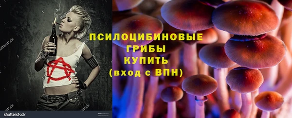 индика Армянск