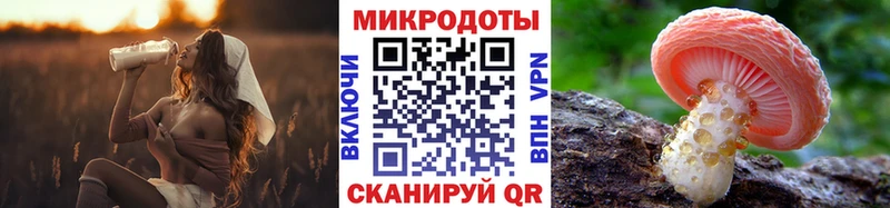 где найти   Могоча  Псилоцибиновые грибы ЛСД 